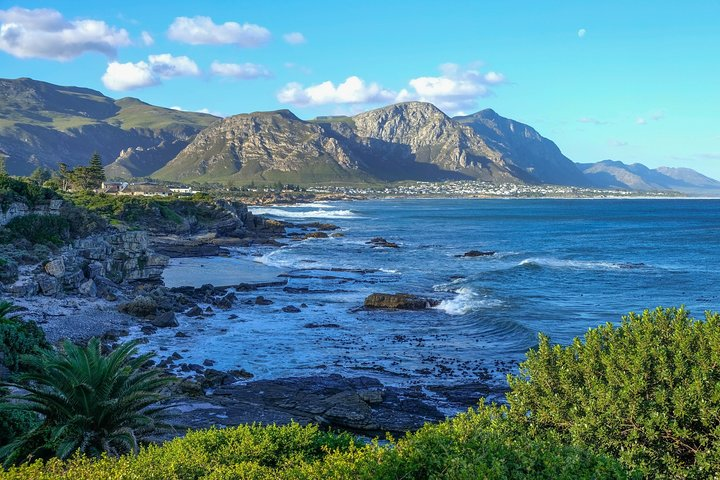 6 Day Garden Route Small Group Tour Fr CapeTown - Departs Any Day - Photo 1 of 12